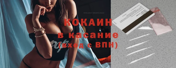 шишки Касимов