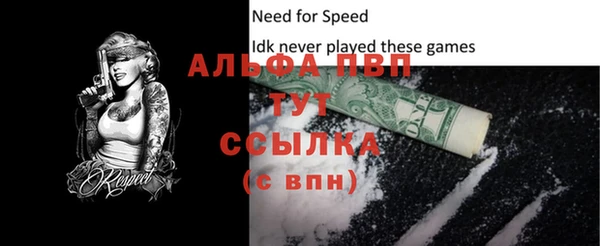 винт Карпинск