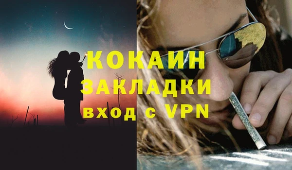 шишки Касимов